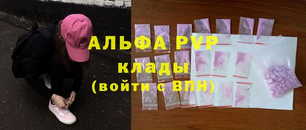 ГАЛЛЮЦИНОГЕННЫЕ ГРИБЫ Белокуриха