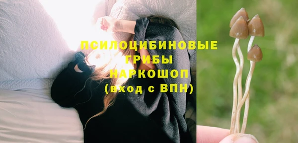apvp Белоозёрский
