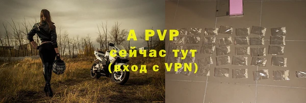 ГАЛЛЮЦИНОГЕННЫЕ ГРИБЫ Белокуриха