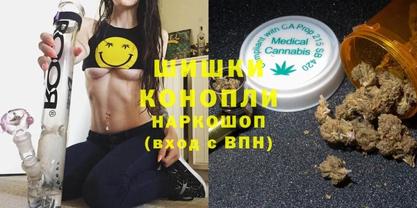ГАЛЛЮЦИНОГЕННЫЕ ГРИБЫ Белокуриха