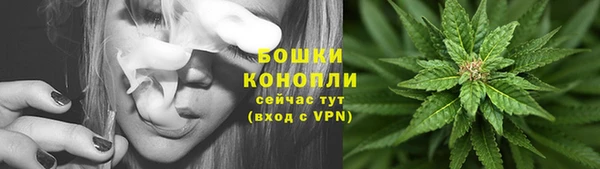 ГАЛЛЮЦИНОГЕННЫЕ ГРИБЫ Белокуриха