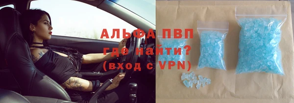 ГАЛЛЮЦИНОГЕННЫЕ ГРИБЫ Белокуриха