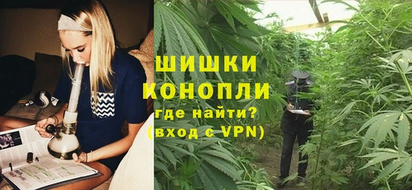 ГАЛЛЮЦИНОГЕННЫЕ ГРИБЫ Белокуриха
