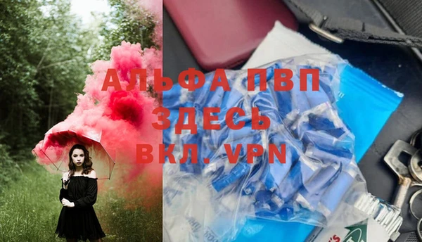 ГАЛЛЮЦИНОГЕННЫЕ ГРИБЫ Белокуриха