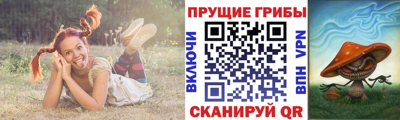 Галлюциногенные грибы мухоморы  Сланцы 